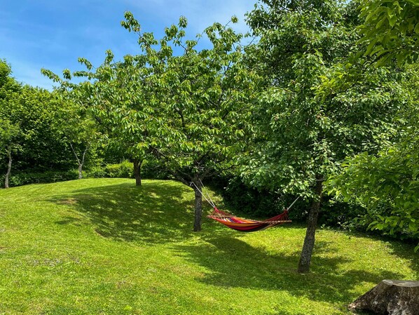 Boendeområde