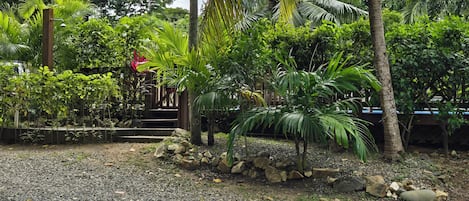 View of pool from the house