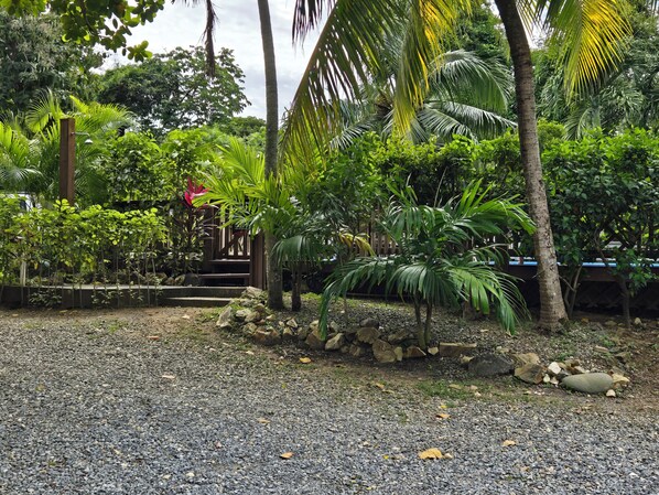 View of pool from the house