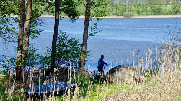 Boendeområde