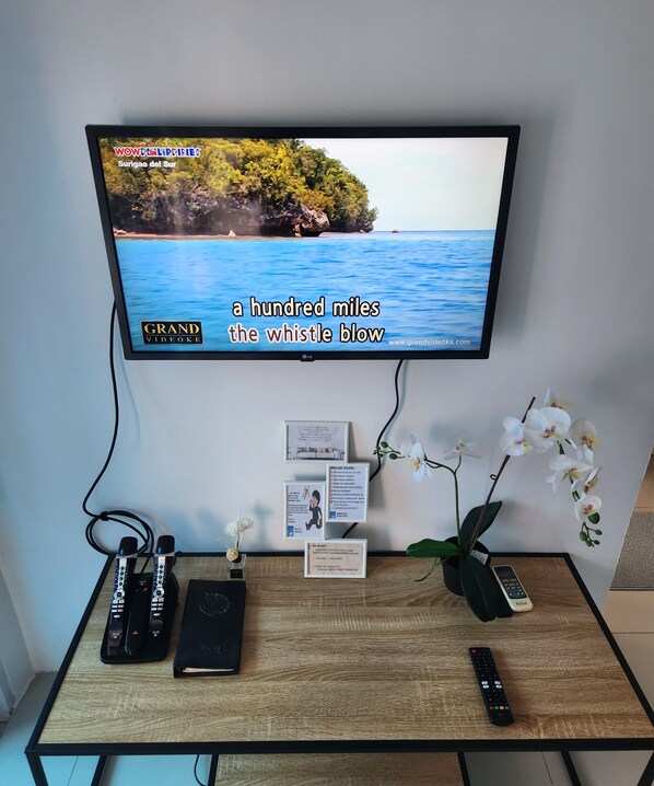 Televisión