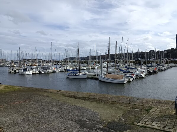 Marina