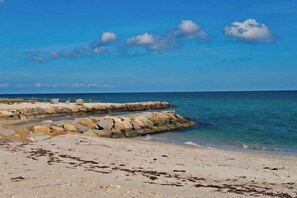 Take a short trip to the sandy beaches of Oak Bluffs. The picturesque shoreline and tranquil waters offer a peaceful escape for sunbathing, swimming, or walking along the dunes.