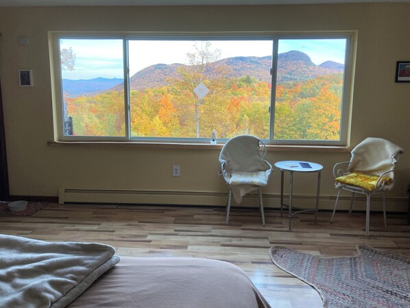 View from Bed