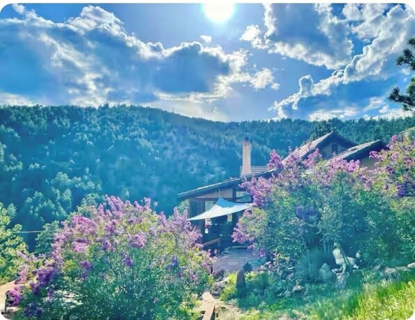 Boendeområde