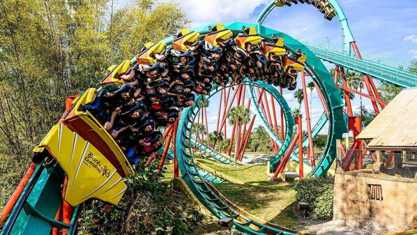Just under 10 miles to Busch Gardens Williamsburg makes it a great location!