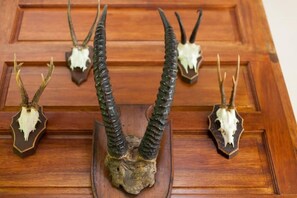 Détail de l’intérieur