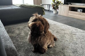 Interiör