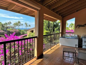 serene and private lanai