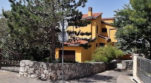 Exteriör