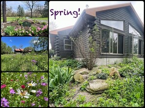 Springtime!