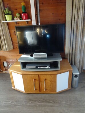 Television