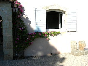 Exterior detail