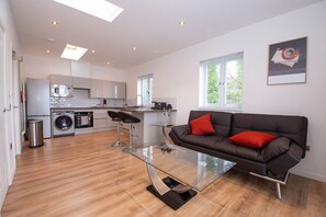 Living Room / Lounge