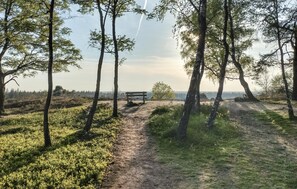 area