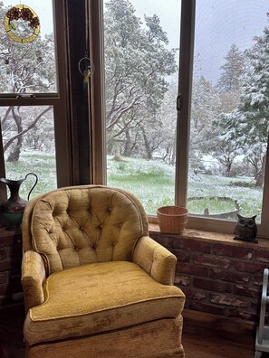 Warm in the sunroom on a snowy day