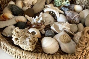 Miscellaneous