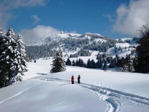 Snow and ski sports
