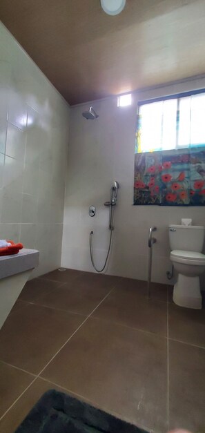 Cabin private bath hot/cold shower, ramp entrance, safety grip bars privacy door