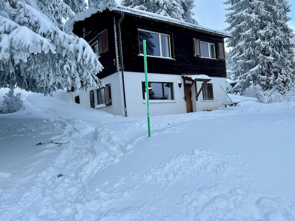 Exteriör