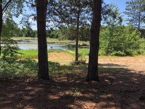 View from cabin