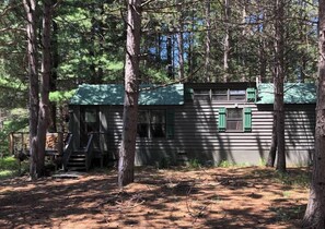 Cozy modern cabin in the woods