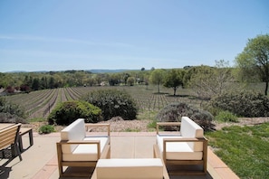 Castoro Cellars vineyard views from the back patio
