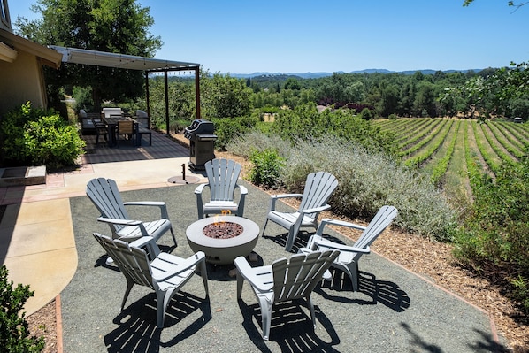 Firepit conversation with vineyard views