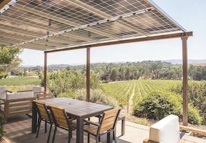 Castoro Cellars vineyard views from the back patio