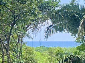 Ocean view