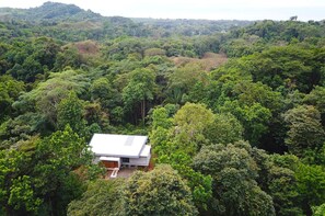 In the jungle