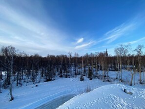 View from the deck during winter