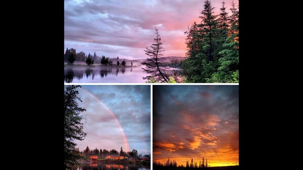 Miscellaneous