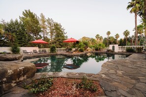 Serene oasis w/ a luxurious po, towering palms and fruit-bearing trees.