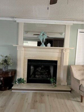 Cozy electric fire place 