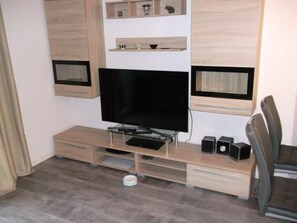 Television