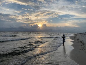 Beaches are great for shelling, bird watching, and surf fishing