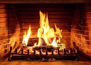 Wood burning fireplace