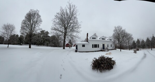 Snow scape