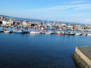Newlyn Harbour 