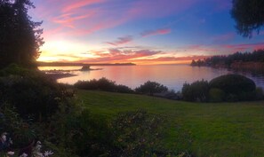 The view