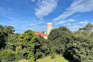 View from the terrace