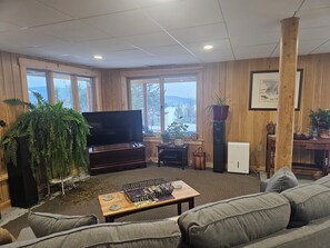 View of Smart TV & Boston Fern from 1981 wedding!