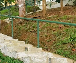 Willy's Fish Camp stairs to more lodgings/rooms