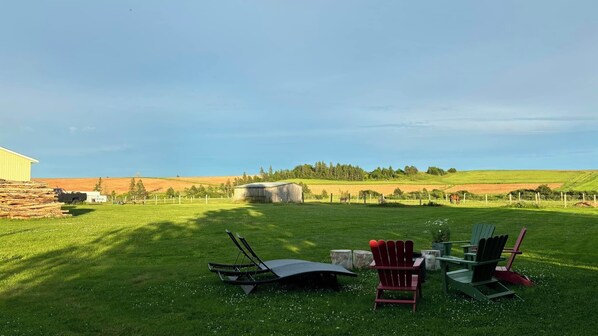 A portion of the large peaceful backyard. Guests are given desired privacy.