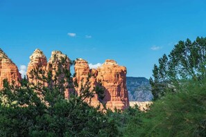 Scenic views of the red rocks from the yard!