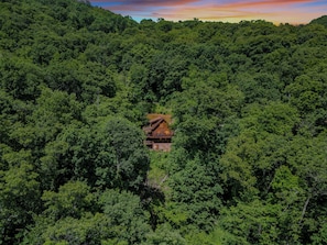 Oklassificerad bild, 3 av 55, knapp