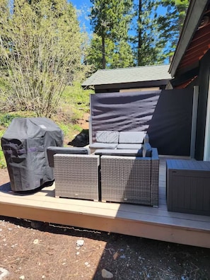 Back patio with outdoor lounge furniture & gas grill (available during warmer months)