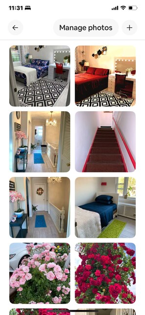 Miscellaneous