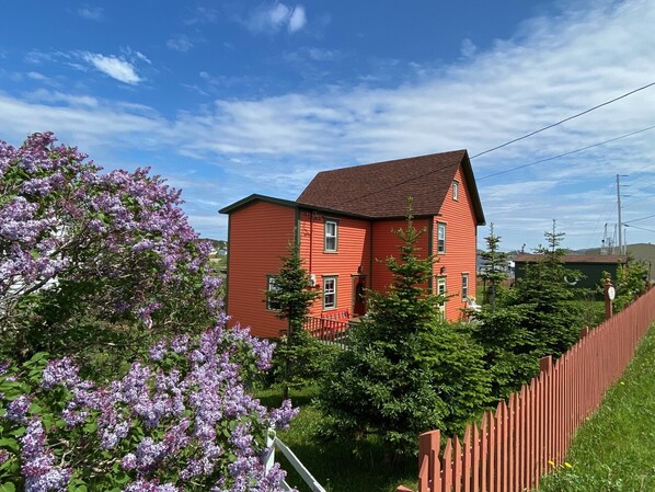 Exteriör